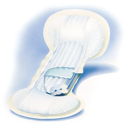 couche anatomique abri san