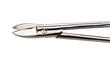 Les pinces Ciseaux ongles forts Parapharm